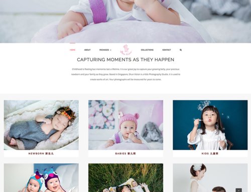 Shun-Vision Website Upgraded